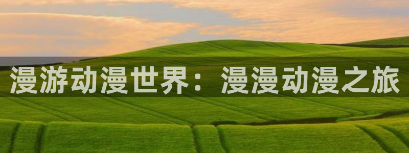 囧次元入口：漫游动漫世界：漫漫动漫之旅