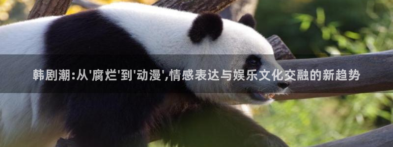 囧次元免费版：韩剧潮:从\'腐烂\'到\'动漫\',情感表达与娱乐文化交融的新趋势