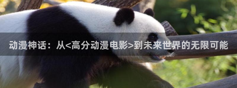 囧次元app正版下载免费：动漫神话：从<高分动漫电影>到未来世界的无限可能